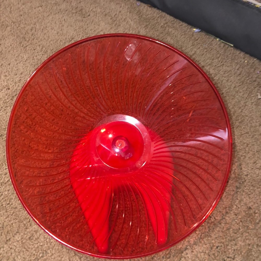 A guinea pig wheel